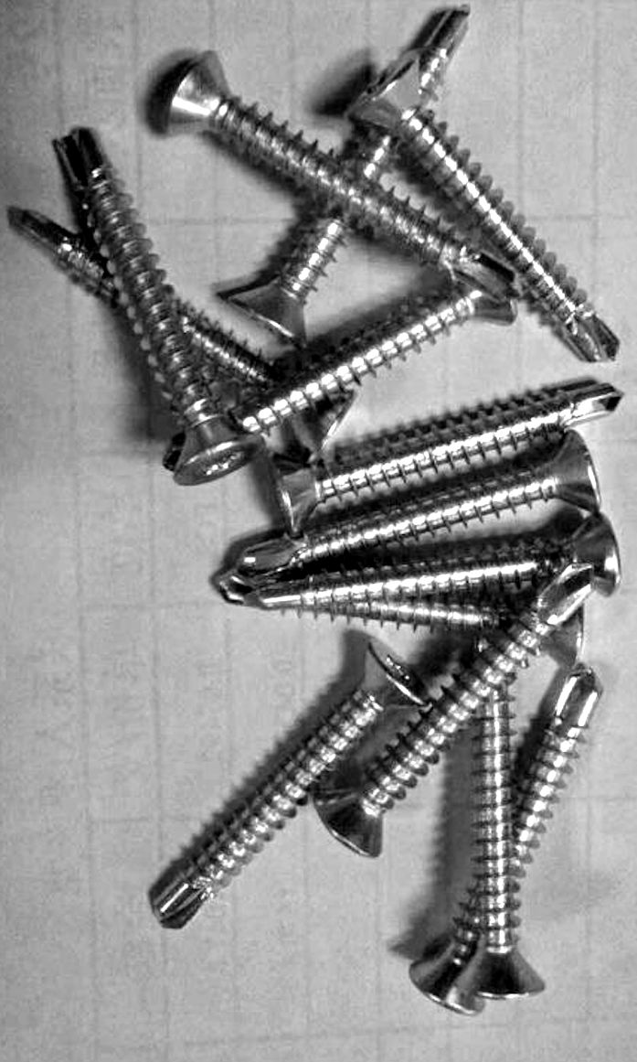 DreamScreen ProSilence 32mm Self Drilling Screw with TORX 100stk