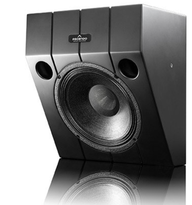 Ascendo Immersive Audio The10 Passive Wedge 30
