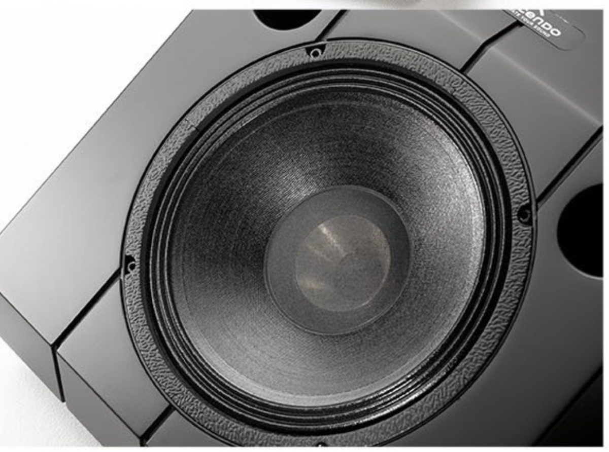 Ascendo Immersive Audio The10 Passive Wedge 30 1stk - Bilde 5