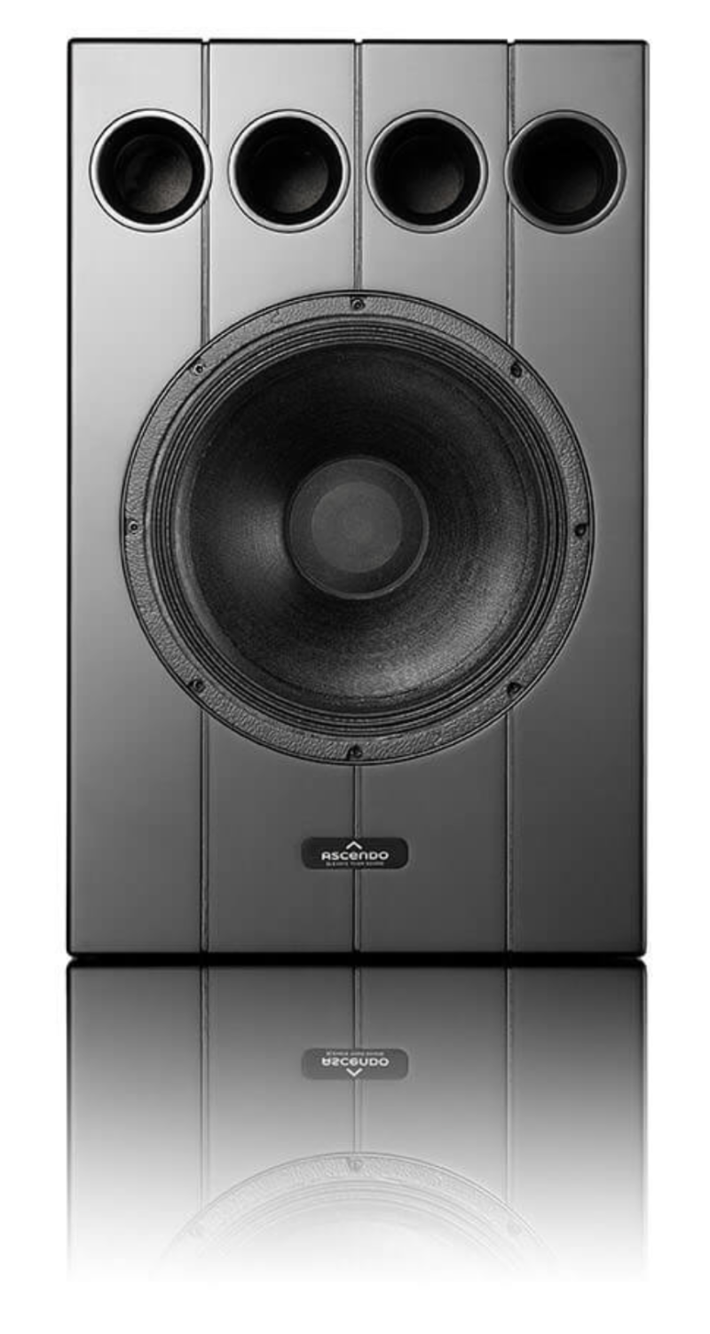Ascendo Immersive Audio The12 Passive On Wall 1stk