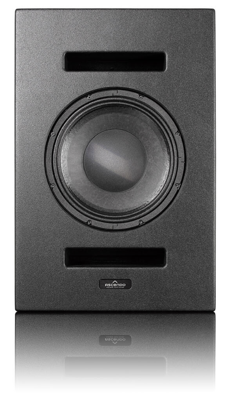 Ascendo Immersive Audio The12 Be Pro Passive On Wall