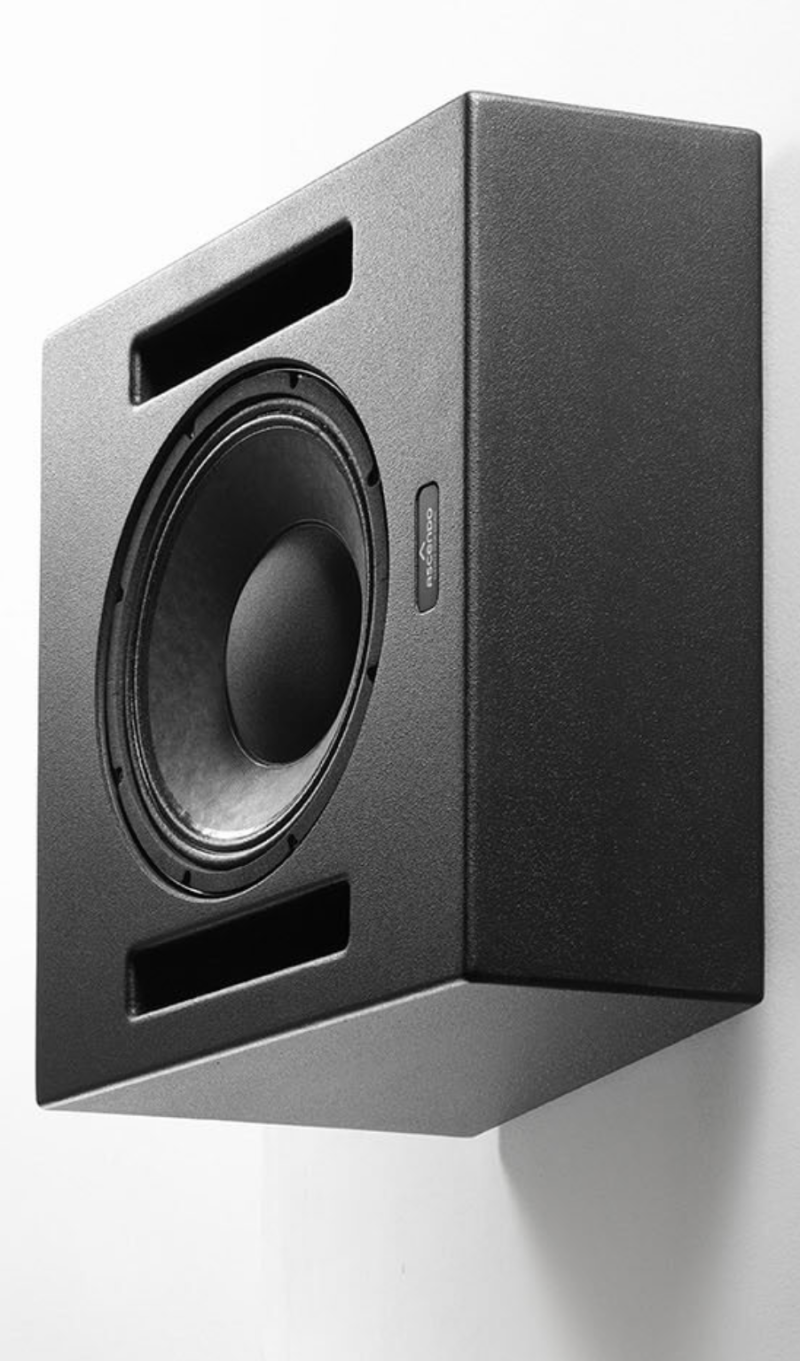 Ascendo Immersive Audio The12 Be Pro Passive Wedge 1stk